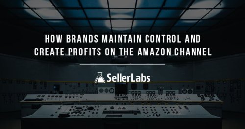 How Brands Maintain Control and Create Profits on the Amazon Channel Webinar Recap