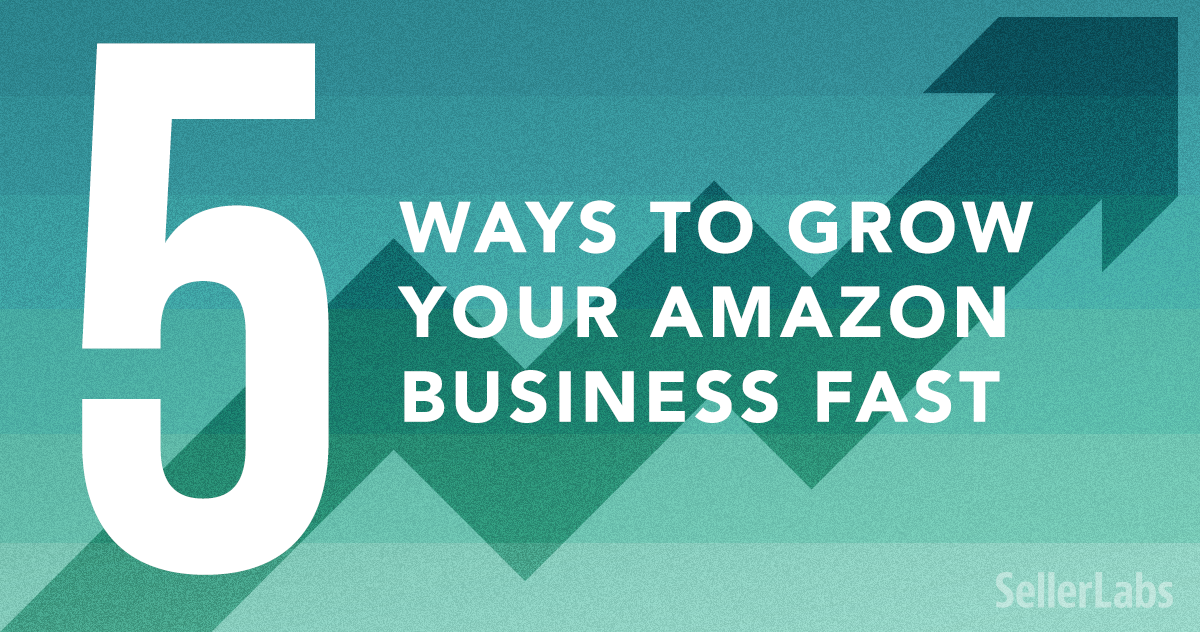 5-ways-grow-amazon-business-fast-seller-labs