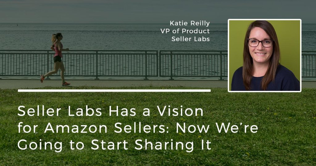 seller-labs-vision-amazon-sellers