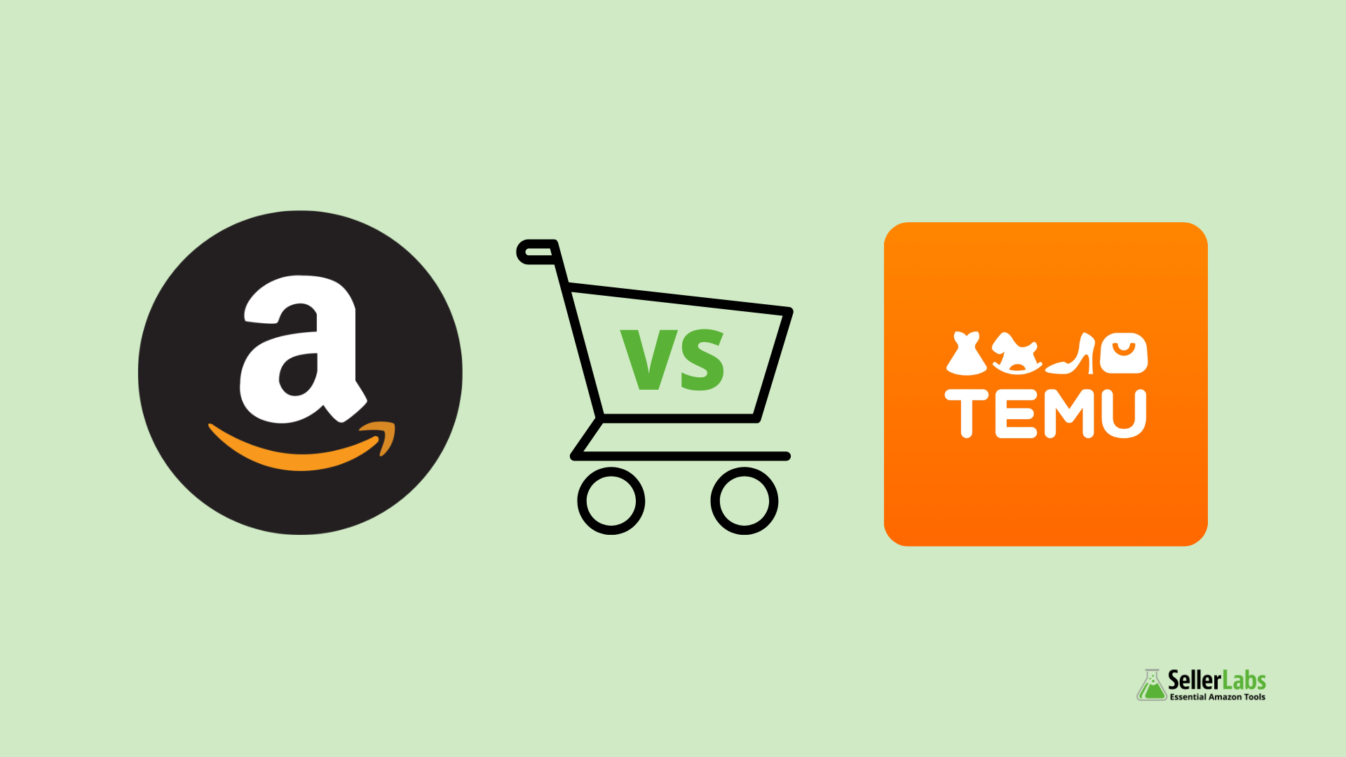 Amazon vs Temu 2025
