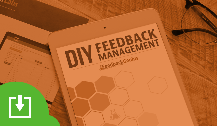 Ebook Promo DIYFeedbackManagement