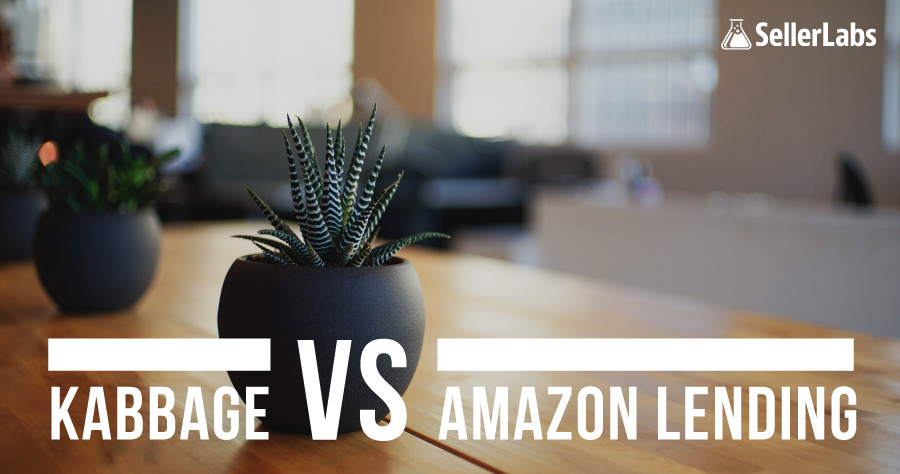 KABBAGE VS AMAZONLENDING