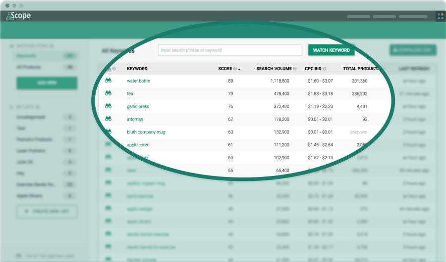 Screenshot of Scope Keyword Research Function