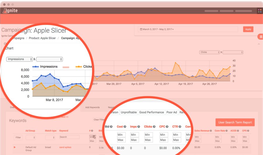 Screenshot Highlighting Ignite Campaign Graphs