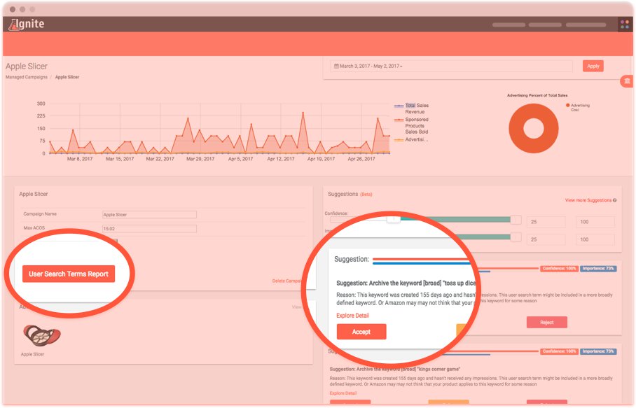 Screenshot of Ignite PPC Campaign Manager