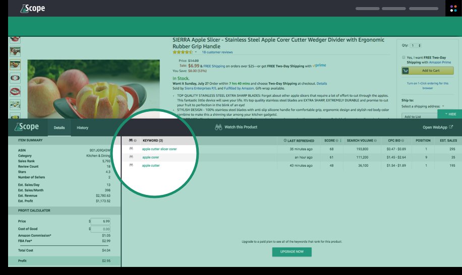Screenshot Of Scope Basic Chrome Extension